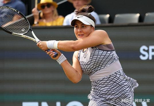 森林狼与活 森林狼与活