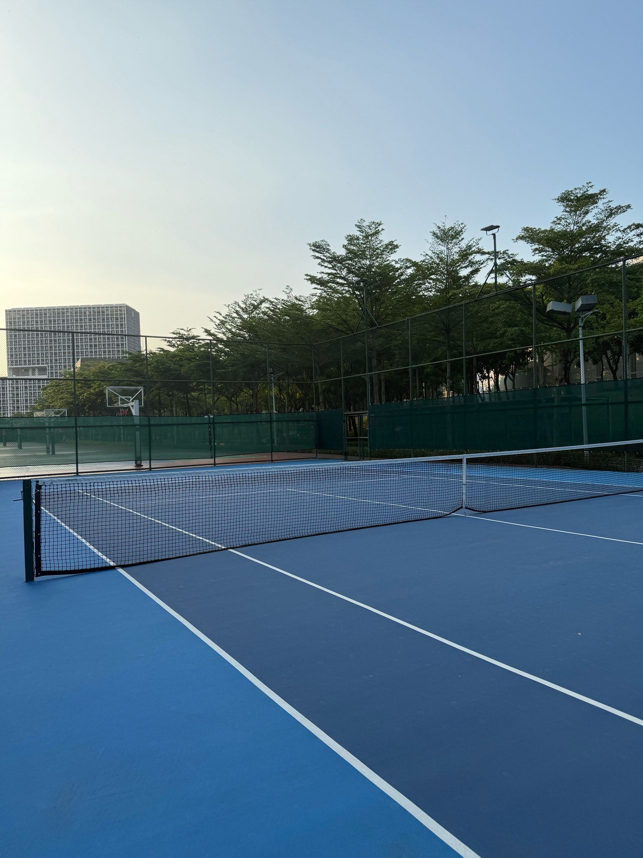 年轻球员的 年轻球员的